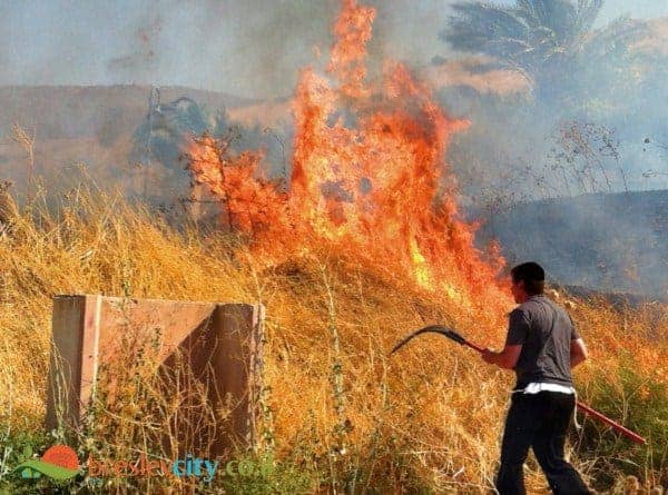 זעם בקרב תושבי יבנאל: "שוב כיבינו את האש ומנענו אסון" 30