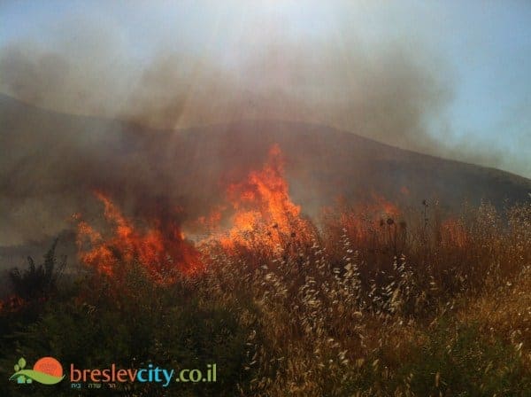 זעם בקרב תושבי יבנאל: "שוב כיבינו את האש ומנענו אסון" 14