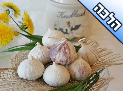 האם מותר לבשל שום שלם לא מקולף בתנור או בסיר בישול? האם מותר לבשל שום שלם לא מקולף בתנור או בסיר בישול?