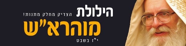 צפו: בתל אביב התכנסו לכבוד הילולת מוהרא"ש 10