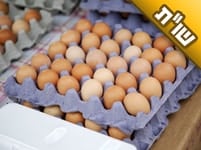 האם זה נכון שלא טוב להשאיל ביצים ממישהו אחר? האם זה נכון שלא טוב להשאיל ביצים ממישהו אחר?