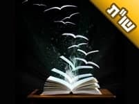 מה המעלה של סיפורי מעשיות מצדיקים? מה המעלה של סיפורי מעשיות מצדיקים?