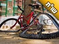 הבן שלנו רכב על אופניים, היה מעורב בתאונה, וניצל בנס. מה עלינו לעשות? הבן שלנו רכב על אופניים, היה מעורב בתאונה, וניצל בנס. מה עלינו לעשות?