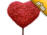 רבינו אמר שאהבת האישה לבעלה ניכרת בזבובים וביתושים שבבית. מה הכוונה? רבינו אמר שאהבת האישה לבעלה ניכרת בזבובים וביתושים שבבית. מה הכוונה?