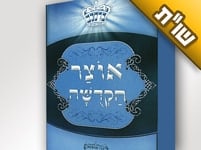 מדוע עוון פגם הברית כל כך חמור? ואיך ניצלים ממנו? מדוע עוון פגם הברית כל כך חמור? ואיך ניצלים ממנו?