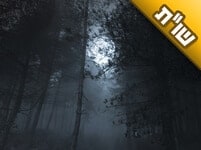 איך אפשר להתגבר על הפחד מחיות רעות ואנשים רעים בזמן ההתבודדות? איך אפשר להתגבר על הפחד מחיות רעות ואנשים רעים בזמן ההתבודדות?