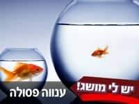 יש לי מושג – ענווה פסולה יש לי מושג – ענווה פסולה