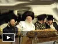 טעימה: שמחת פורים אצל הצדיק בארה"ב טעימה: שמחת פורים אצל הצדיק בארה"ב