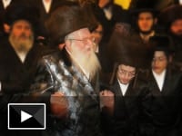 שמחת בית הצדיק: מוהרא"ש שליט"א חיתן את נכדתו שמחת בית הצדיק: מוהרא"ש שליט"א חיתן את נכדתו