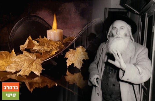 רבי צבי אריה ליפל ז"ל רבי צבי אריה ליפל ז"ל