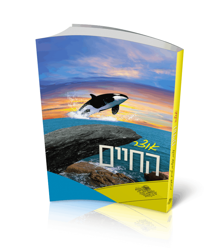 הכנות קדחתניות בקרן הדפסה לקראת יומא דהילולא של כ"ק מרן מוהרא"ש זי"ע – הצדיק מיבנאל הכנות קדחתניות בקרן הדפסה לקראת יומא דהילולא של כ"ק מרן מוהרא"ש זי"ע – הצדיק מיבנאל