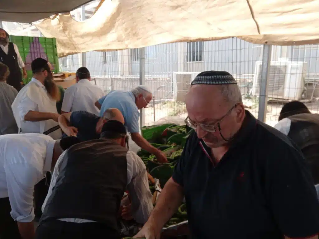 חלוקת חסד אדירה לכבוד חג הסוכות 12 חלוקת חסד אדירה לכבוד חג הסוכות 11