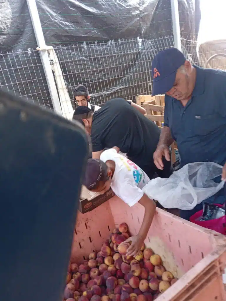 חלוקת חסד אדירה לכבוד חג הסוכות 4 חלוקת חסד אדירה לכבוד חג הסוכות 3