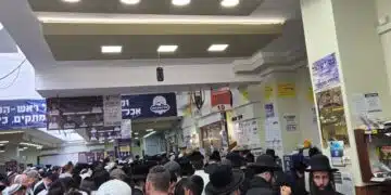 ראש השנה ה'תשפ"ו באומן- סיקור וגלריה ראש השנה ה'תשפ"ו באומן- סיקור וגלריה