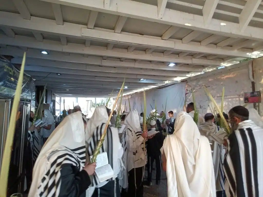 ימי 'ירח האיתנים - חודש תשרי תשפ"ו' ביבנאל עיר ברסלב 2 ימי 'ירח האיתנים - חודש תשרי תשפ"ו' ביבנאל עיר ברסלב 1