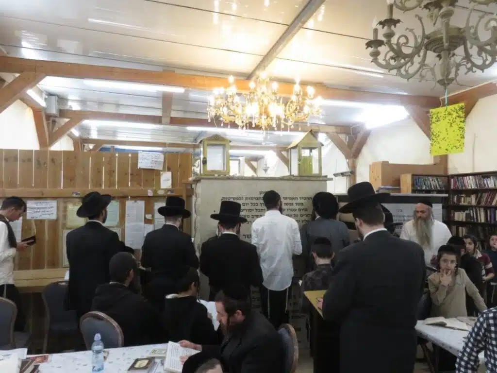 זאת חנוכה תשפ"ו בציון כ"ק מוהרא"ש זי"ע ביבנאל 8 זאת חנוכה תשפ"ו בציון כ"ק מוהרא"ש זי"ע ביבנאל 7