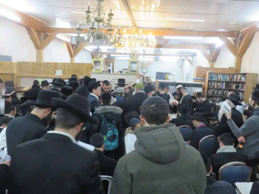 סקירה וגלריה מקיפה מהילולת כ"ק מוהרא"ש זי"ע - ה'תשפ"ו 48 סקירה וגלריה מקיפה מהילולת כ"ק מוהרא"ש זי"ע - ה'תשפ"ו 47