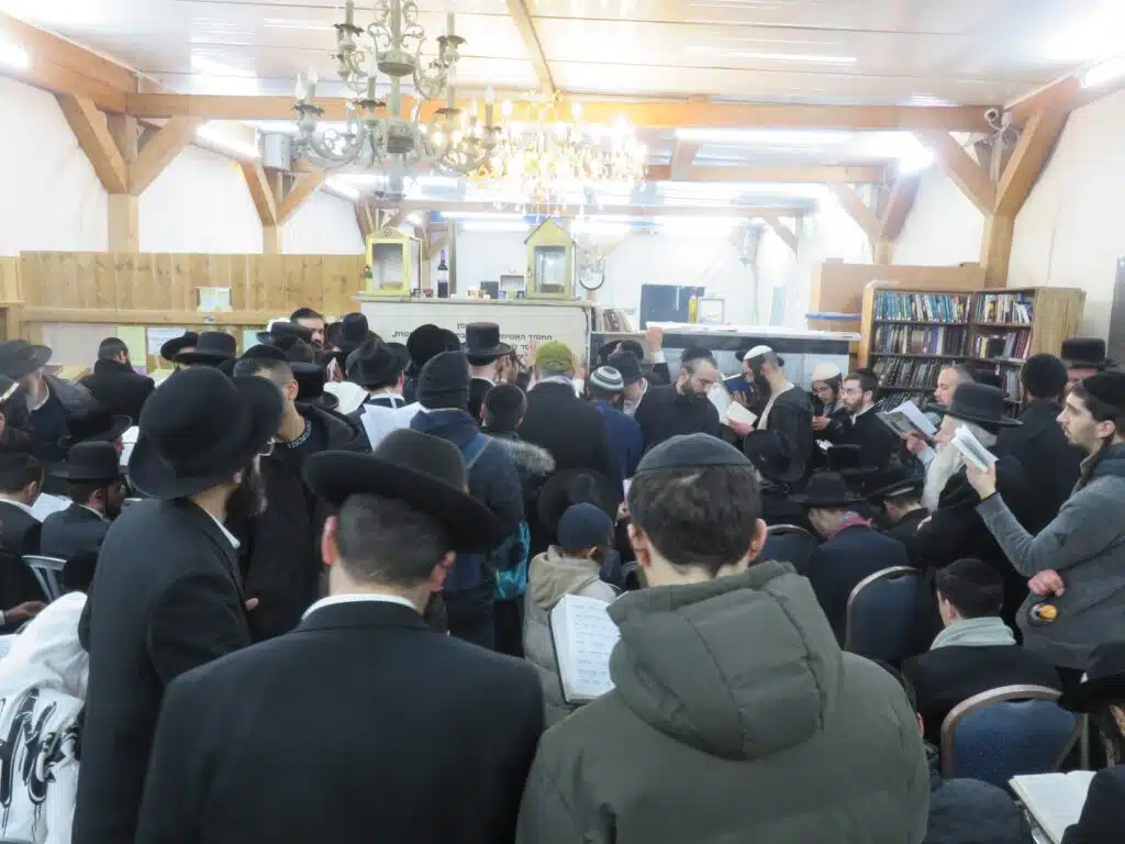 סקירה וגלריה מקיפה מהילולת כ"ק מוהרא"ש זי"ע - ה'תשפ"ו 18 סקירה וגלריה מקיפה מהילולת כ"ק מוהרא"ש זי"ע - ה'תשפ"ו 17