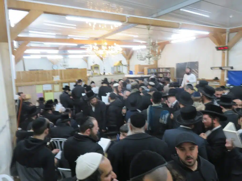 סקירה וגלריה מקיפה מהילולת כ"ק מוהרא"ש זי"ע - ה'תשפ"ו 16 סקירה וגלריה מקיפה מהילולת כ"ק מוהרא"ש זי"ע - ה'תשפ"ו 15