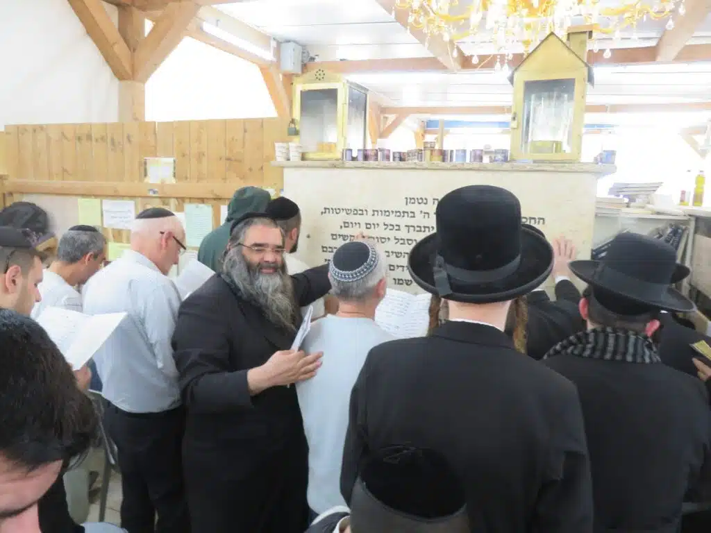 סקירה וגלריה מקיפה מהילולת כ"ק מוהרא"ש זי"ע - ה'תשפ"ו 94 סקירה וגלריה מקיפה מהילולת כ"ק מוהרא"ש זי"ע - ה'תשפ"ו 93