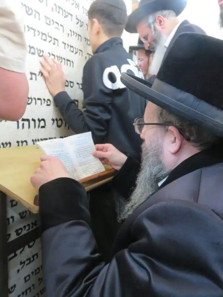 סקירה וגלריה מקיפה מהילולת כ"ק מוהרא"ש זי"ע - ה'תשפ"ו 92 סקירה וגלריה מקיפה מהילולת כ"ק מוהרא"ש זי"ע - ה'תשפ"ו 91
