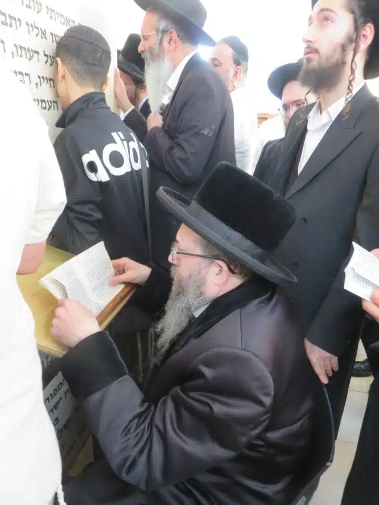 סקירה וגלריה מקיפה מהילולת כ"ק מוהרא"ש זי"ע - ה'תשפ"ו 88 סקירה וגלריה מקיפה מהילולת כ"ק מוהרא"ש זי"ע - ה'תשפ"ו 87
