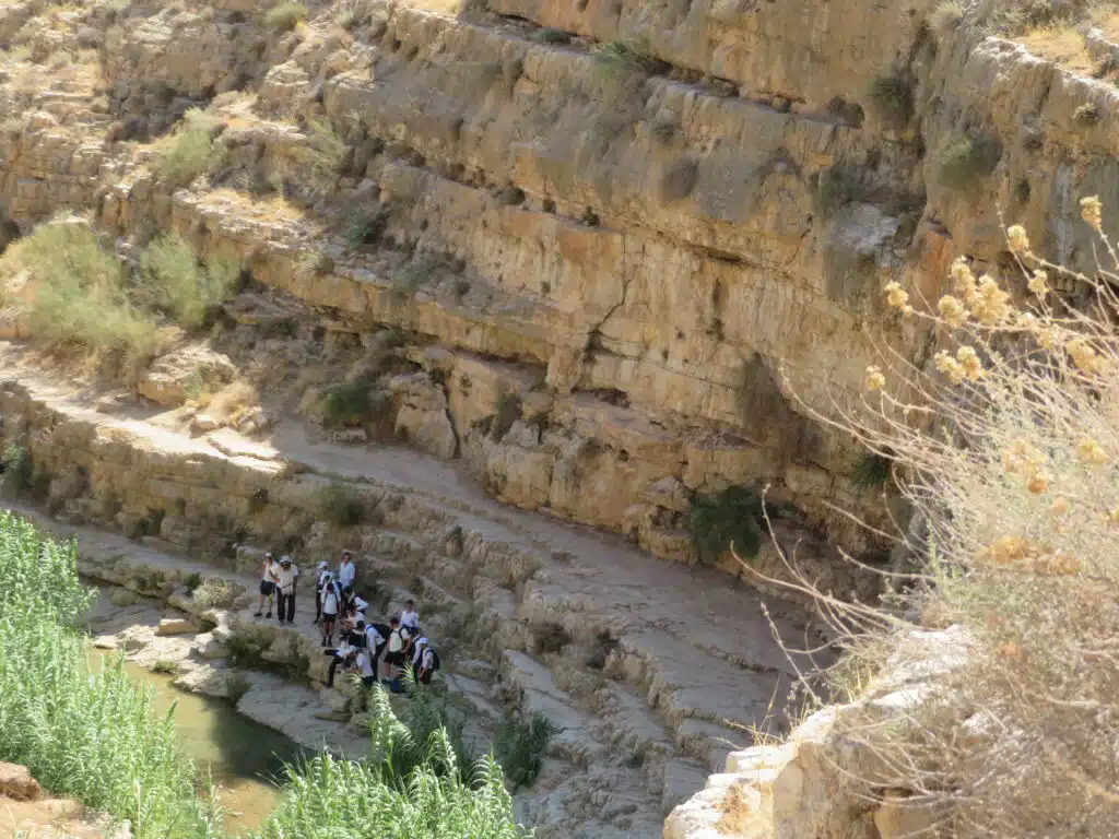 תורה ומנוחה: ישיבת "בית שלמה" בטיול יחד עם תפילה בכותל המערבי ובציון האור החיים הקדוש 2 תורה ומנוחה: ישיבת "בית שלמה" בטיול יחד עם תפילה בכותל המערבי ובציון האור החיים הקדוש 1