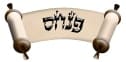 זאת התורה – פנחס