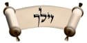 זאת התורה – וילך