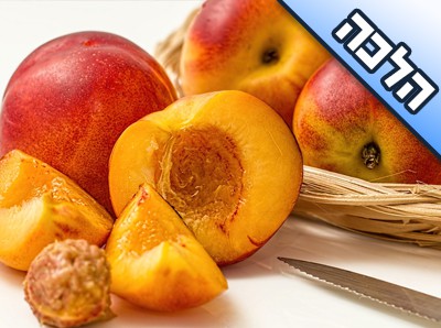 האם צריך לברך שהחיינו על אפר שזיף? (פירות שהורכבו)