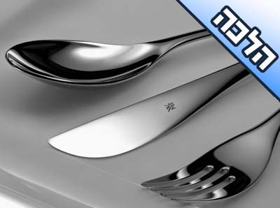 איך מגעילים כף, שרוב השנה אכלו בעזרתה מצלחת ופעם או יותר בחשו איתה סיר שהיה על האש וחמץ בתוכו?