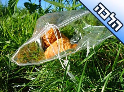 האם מותר לתלות לחם בשקית או תיק אוכל?