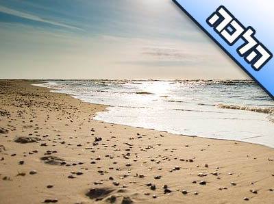 כמה תשובות ממו"ר עט"ר כ"ק מוהרא"ש זי"ע בעניני בין המצרים