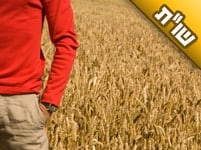 אני מתבודד לה' יתברך אבל לא רואה שום תוצאות