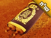 מה הכוונה במה שכתוב: "ומי שחשקה נפשו בתורה כבן עזאי"?