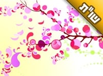 האם יש סגולה או עצה ללידה קלה ושהעובר יהיה בריא ושלם?