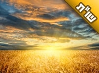 אני מתבודדת רק חצי שעה בכל יום. האם גם לי יש חלק בקירוב הגאולה?