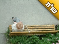 אני מתקשה מאוד למצוא את זיווגי, למרות שעשיתי את כל הסגולות האפשריות