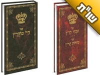 בחודשים האחרונים התקרבתי לרבינו. באיזה ספר צריכים ללמוד? ואיך מתחילים להיות חסיד ברסלב?