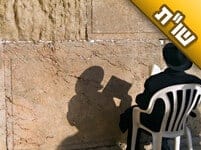 מה דעתו של הצדיק בעניין הגזירות שרוצים לגזור על הציבור החרדי ועל עולם התורה?