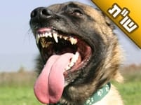 למה יש עליכם התנגדות מאיזה מנוול ביבנאל, שבכל הזדמנות מדבר עליכם שקרים שאין להם שום יסוד?