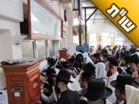 מה הדרך הנכונה בעניין "עשה לך רב"? והאם הרב צריך להיות דווקא חסיד ברסלב?