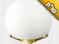 בתקופה האחרונה נעלם לי החשק, והמצוות הם כמו עול בשבילי