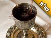 עד כמה אני מחויבת להעיר לסבי וסבתי ולעורר אותם לשמירת שבת?