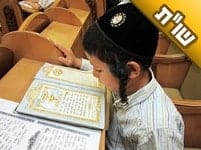 האם כדאי לאפשר לתלמידים שלי לקרוא בספר 'שאלות ותשובות בחסידות ברסלב'?