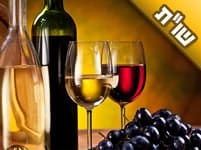 יש לי עסק ביתי להכנת יין. האם כדאי לי להפוך אותו לעסק מסחרי?