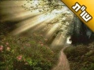 האם יש בדורנו צדיקים שזוכים לגילוי אליהו?