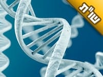 הודיעו לנו שהתינוקת שלנו סובלת מתסמונת-דאון. האם כדאי לעשות בדיקה נוספת בבית-חולים אחר?