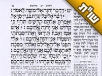 האם צריכים לסיים את הלימוד של השניים מקרא ואחד תרגום עד יום שישי?