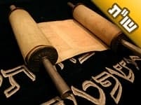 בבית הכנסת של אבי מעלים לדוכן חזנים מחללי שבת. האם מותר לי להתפלל שם ביום כיפור?